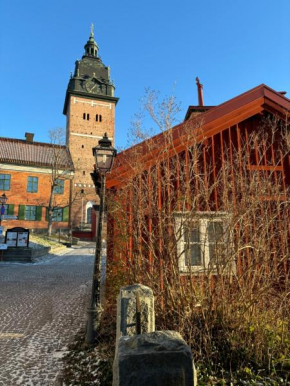 Historical idyll from the 17th century